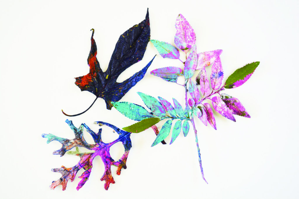 Common tools for mixed media--leaves
